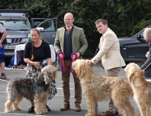 2022 Championship Show