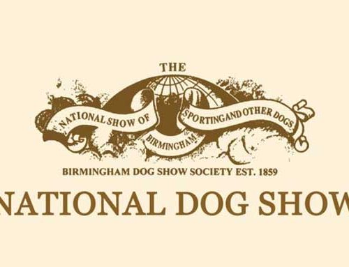 Birmingham National Dog Show 2026 Critiques