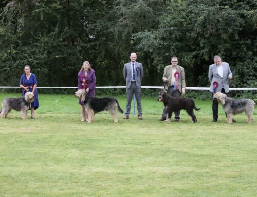 2023 Championship Show