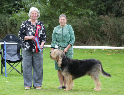 2024 Championship Show