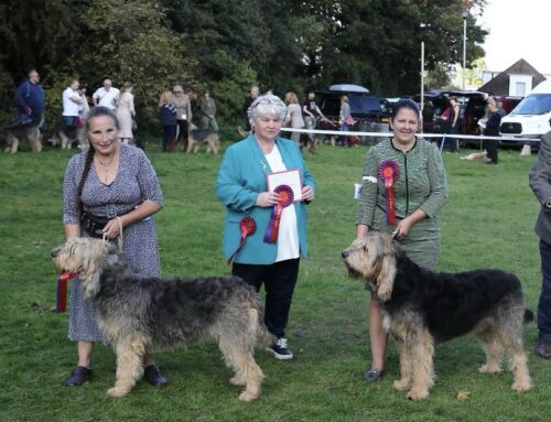 2025 Championship Show