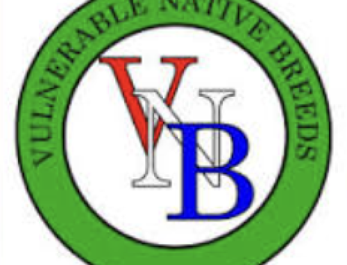 Vulnerable Native Breeds Show 2026 Critiques