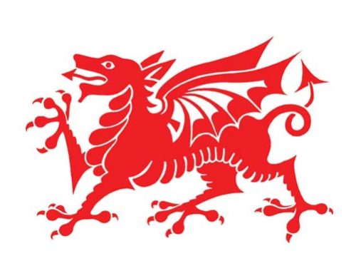 Welsh Kennel Club Championship Show 2026 Critiques