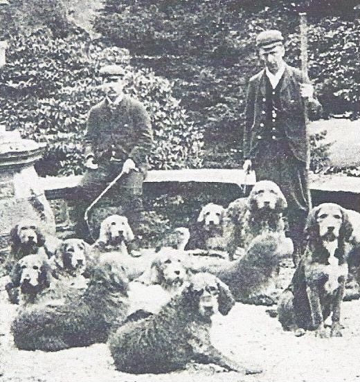 Wilson Davidson co-founder of Dumfriesshire Otterhounds c.1901