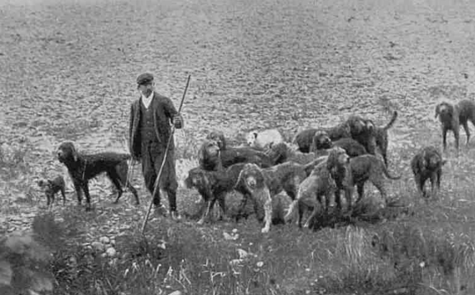 Huntsman Wilson Davidson with Dumfriesshire OHs River Nith 1905