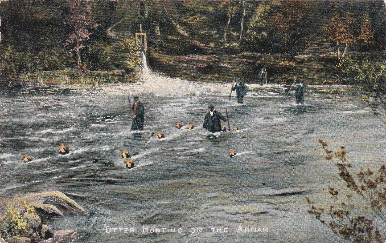 Otter Hunting on the Annan